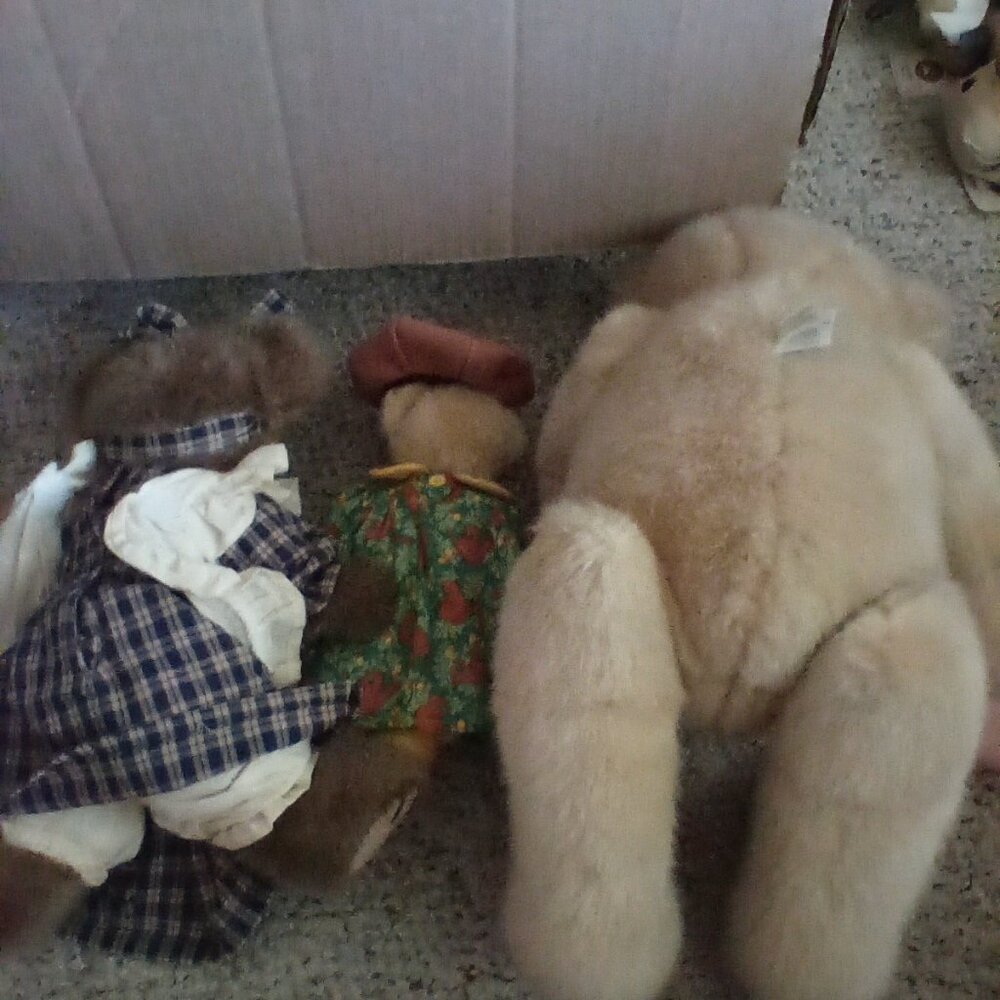 Boyd's bear - Picture 2 of 2